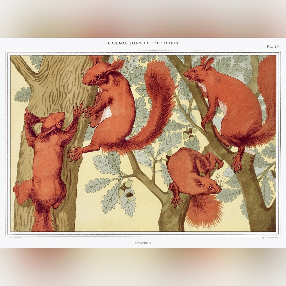 Vintage Squirrel Art Print